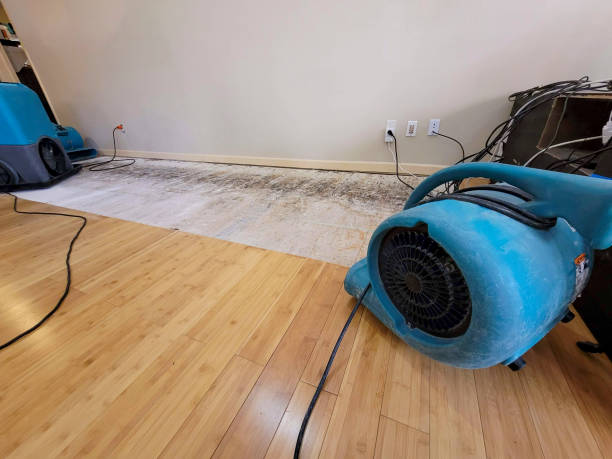 Professional Water Damage Repair technician working in Oakland, RI